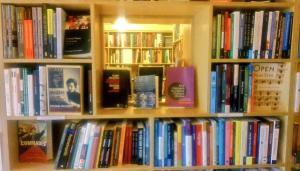 seminary coop bookshelf linguistics+marxism