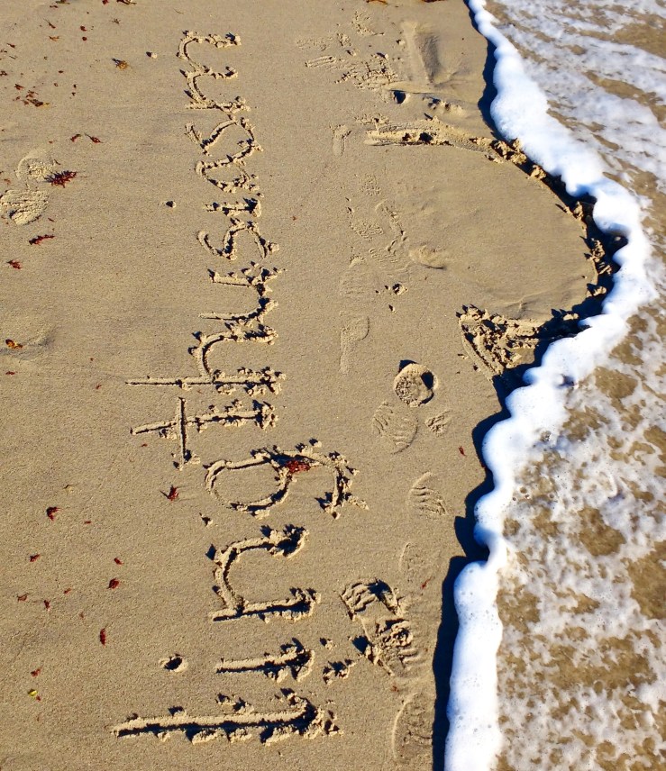 lingthusiasm wave beach logo.jpg