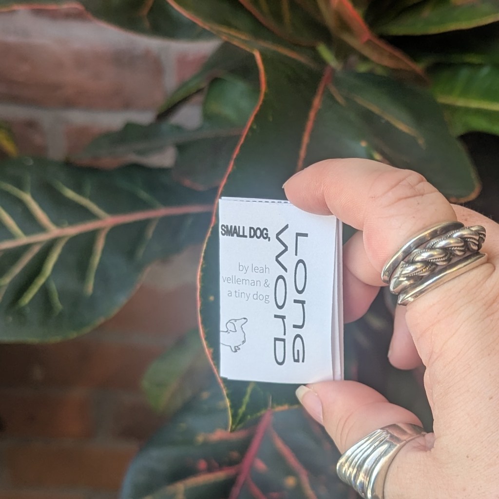 A very tiny zine called "Small dog, long word" held up in front of a plant. It is so small that they are holding it between their fingertips.
